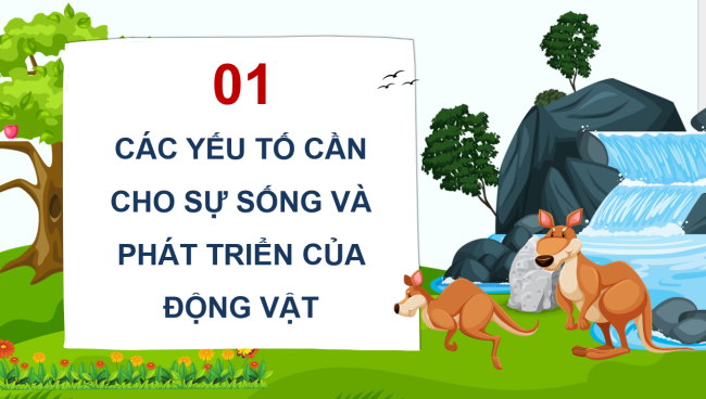 PowerPoint Khoa học 4 Bài 16: Nhu cầu sống của động vật