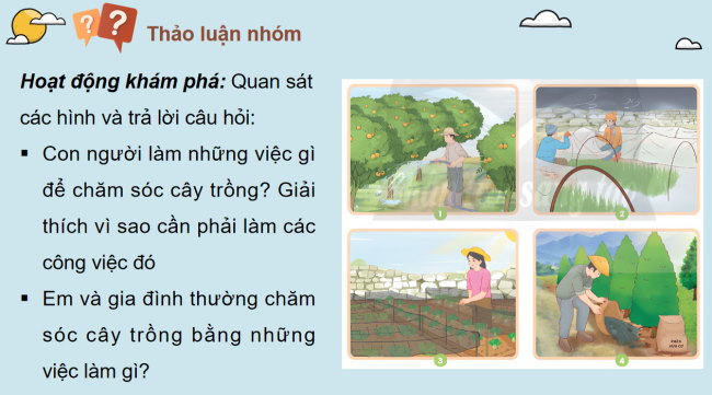 PowerPoint Khoa học 4 Bài 17: Chăm sóc cây trồng và vật nuôi