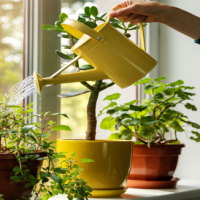 Giáo án Khoa học 4 Bài 18: Ôn tập chủ đề thực vật và động vật