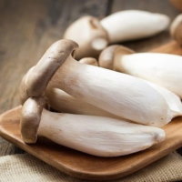 Giáo án Khoa học 4 Bài 19: Sự đa dạng của nấm