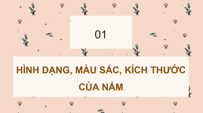 PowerPoint Khoa học 4 Bài 19: Sự đa dạng của nấm