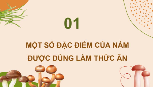 PowerPoint Khoa học 4 Bài 20: Nấm ăn và nấm men trong đời sống