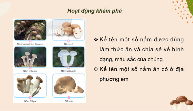 PowerPoint Khoa học 4 Bài 20: Nấm ăn và nấm men trong đời sống