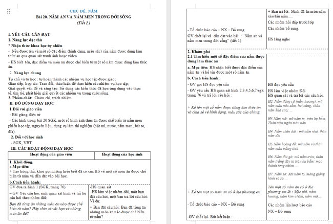 Giáo án Khoa học 4 Bài 20: Nấm ăn và nấm men trong đời sống