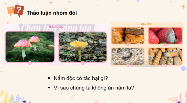 PowerPoint Khoa học 4 Bài 21: Nấm có hại và cách bảo quản thực phẩm