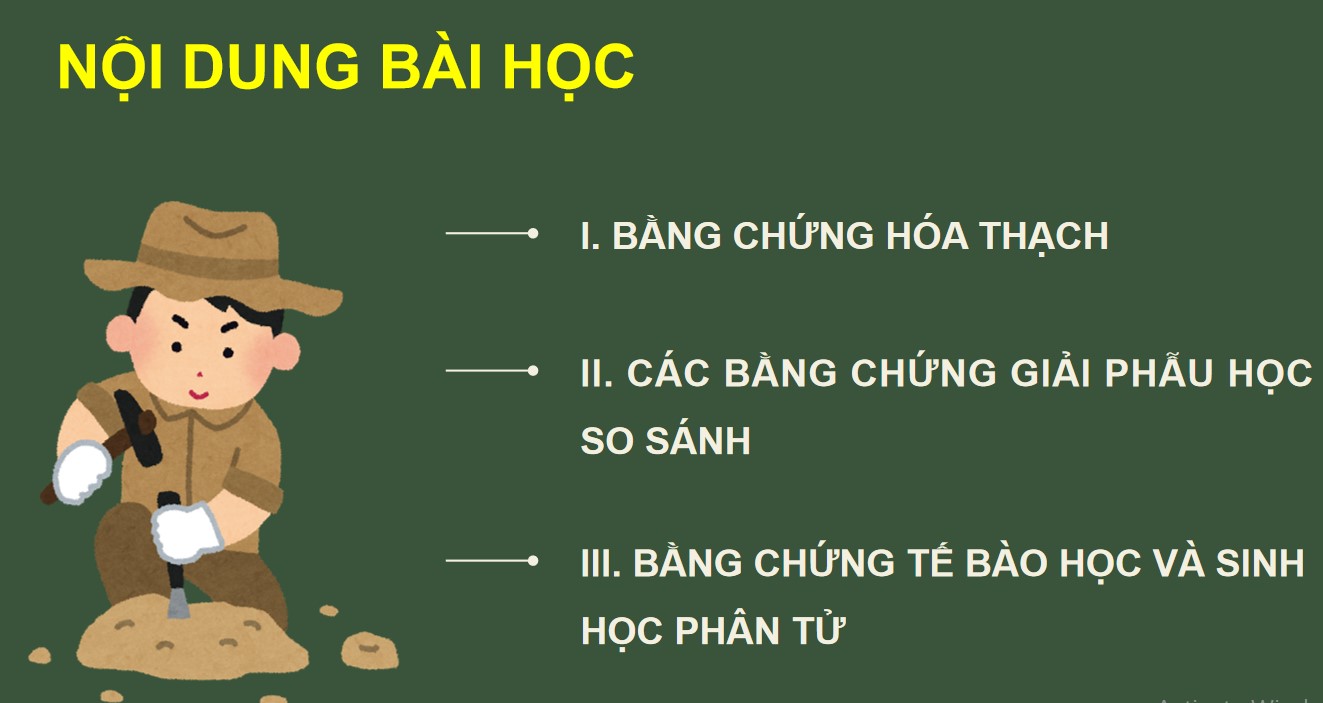 Giáo án PPT Sinh 12 Cánh Diều Bài 15