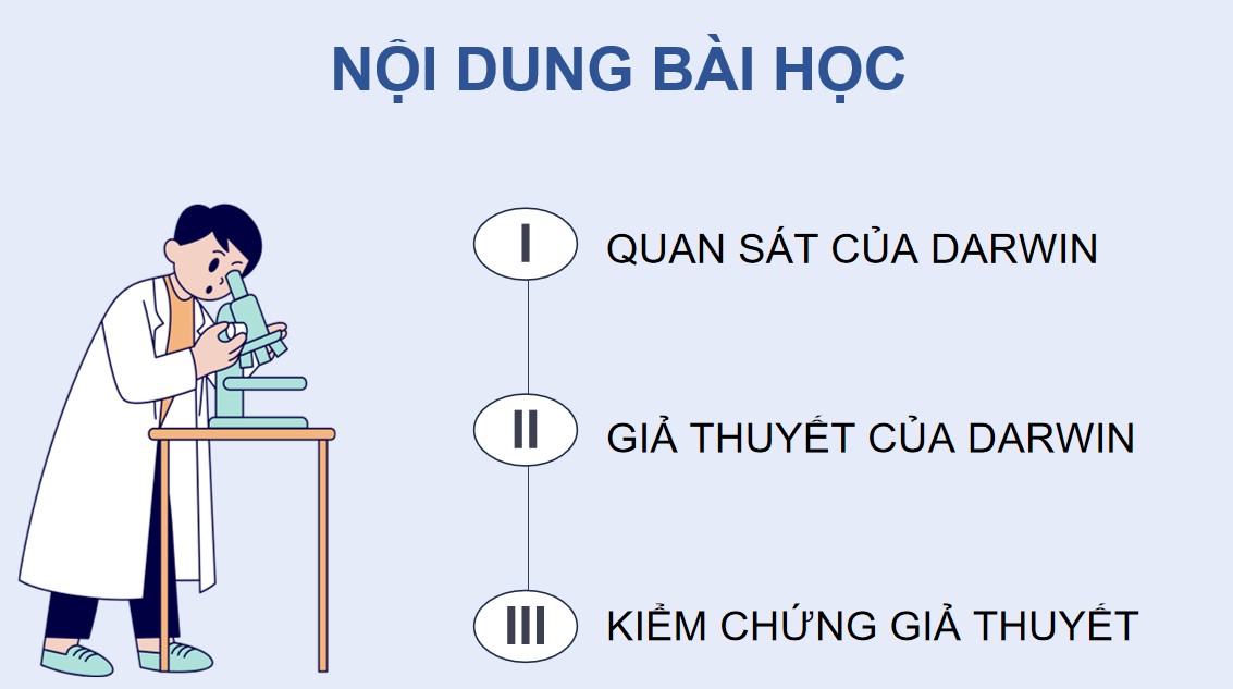 Giáo án PPT Sinh 12 Cánh Diều Bài 16