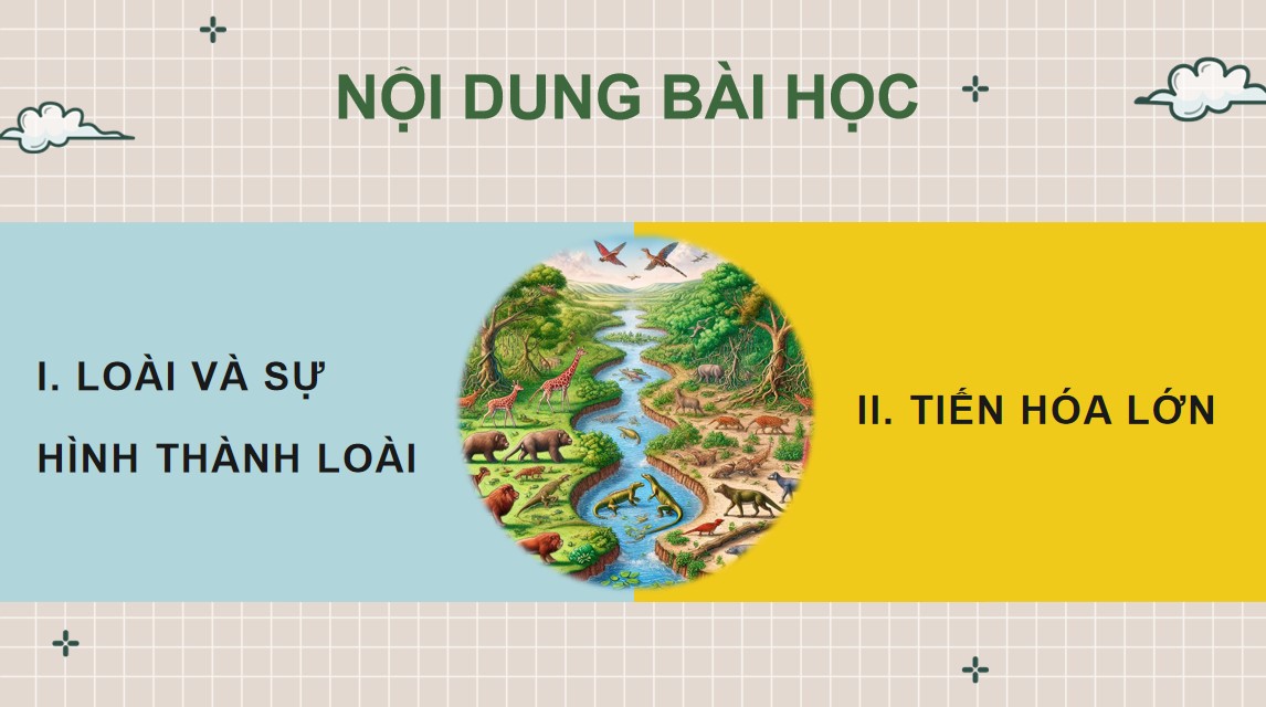 Giáo án PPT Sinh 12 Cánh Diều Bài 18