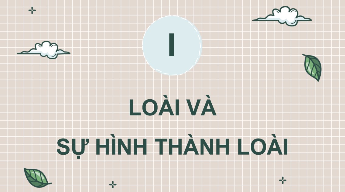 Giáo án PPT Sinh 12 Cánh Diều Bài 18