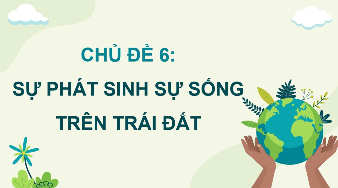 Giáo án PPT Sinh 12 Cánh Diều Bài 19