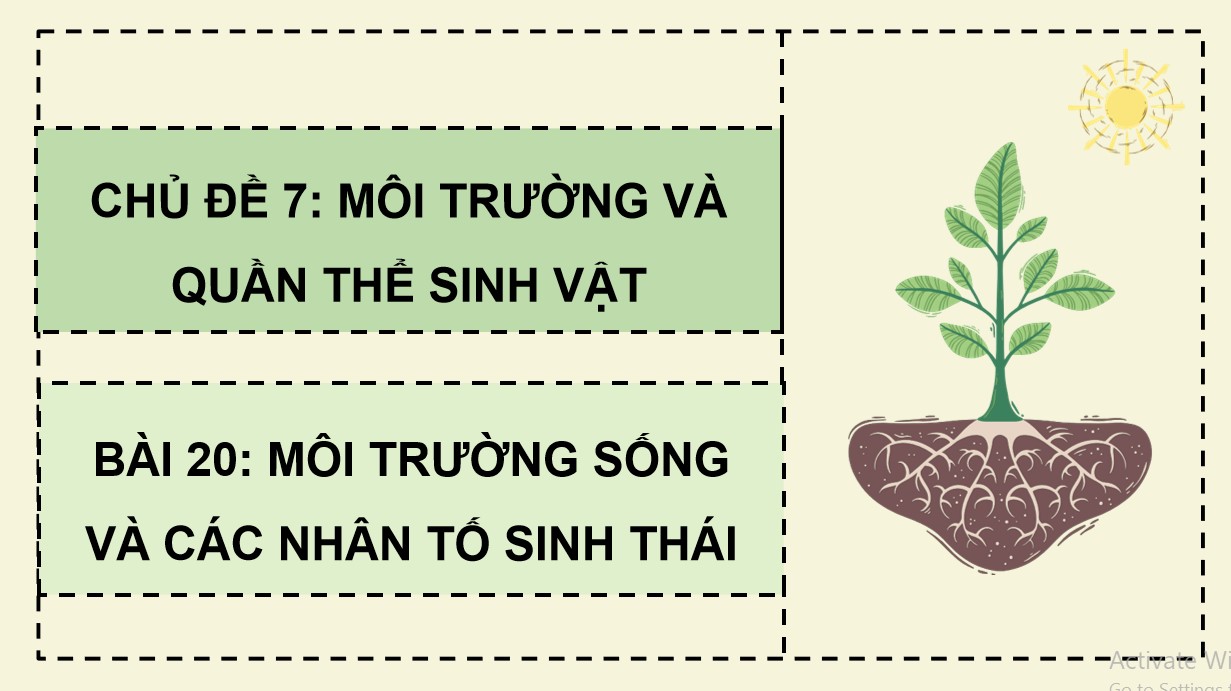 Giáo án PPT Sinh 12 Cánh Diều Bài 20