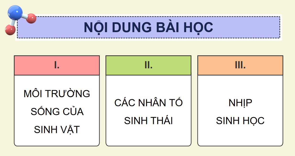 Giáo án PPT Sinh 12 Cánh Diều Bài 20