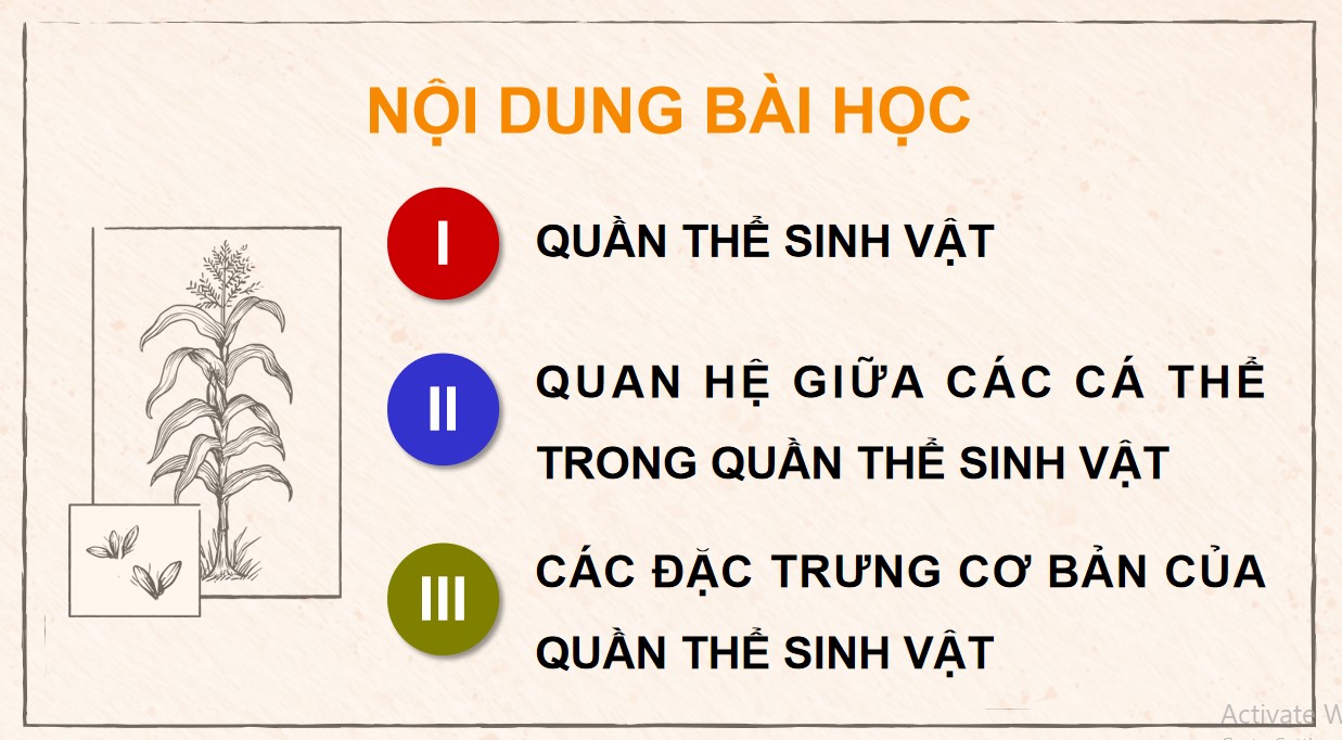 Giáo án PPT Sinh 12 Cánh Diều Bài 21