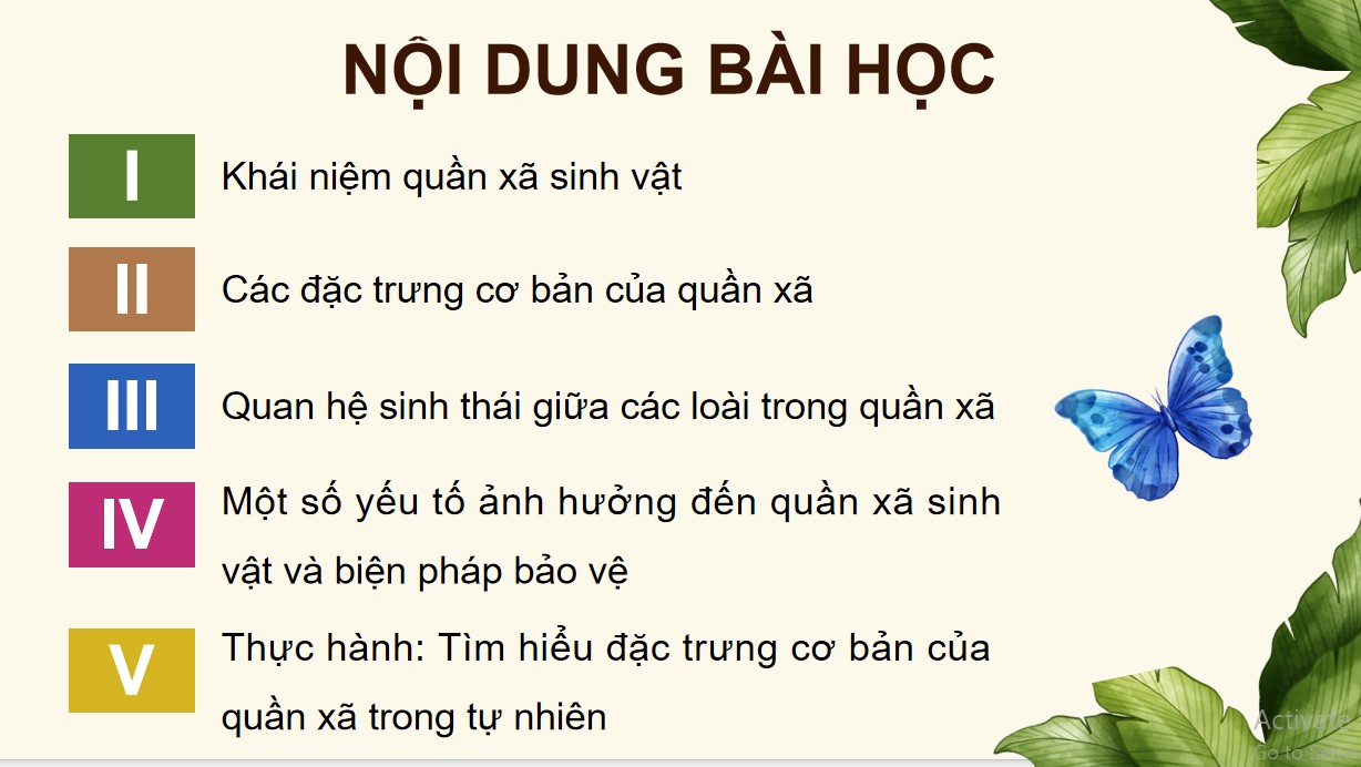 Giáo án PPT Sinh 12 Cánh Diều Bài 22