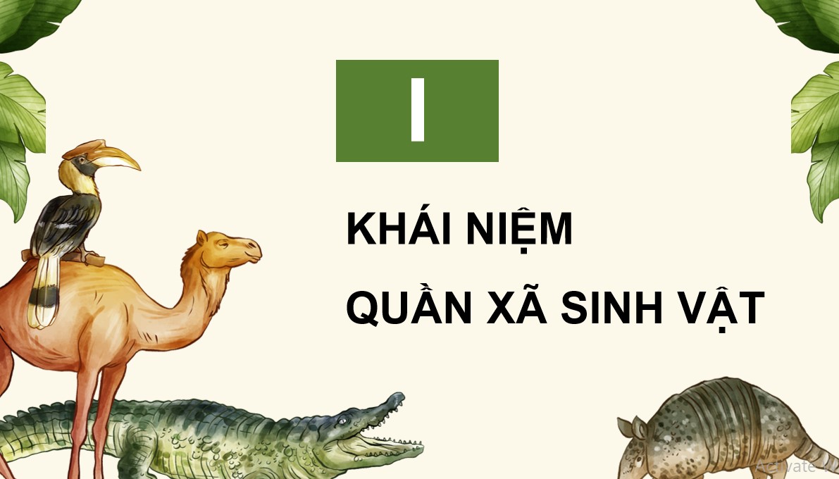 Giáo án PPT Sinh 12 Cánh Diều Bài 22