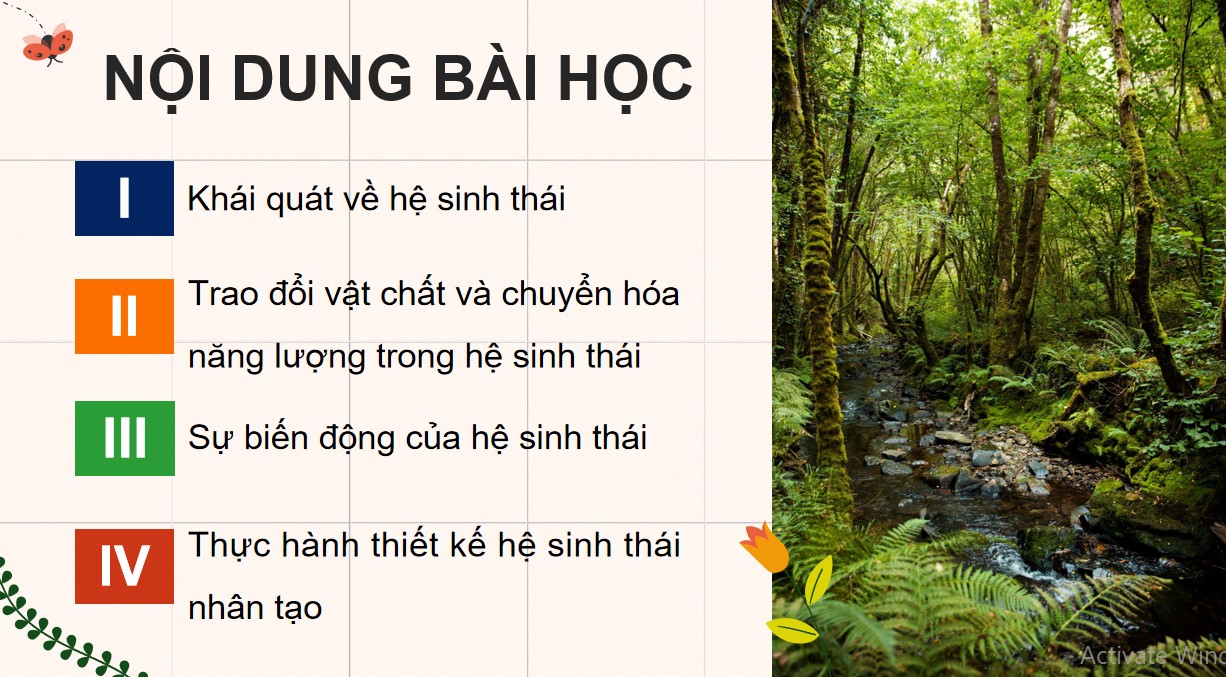 Giáo án PPT Sinh 12 Cánh Diều Bài 23