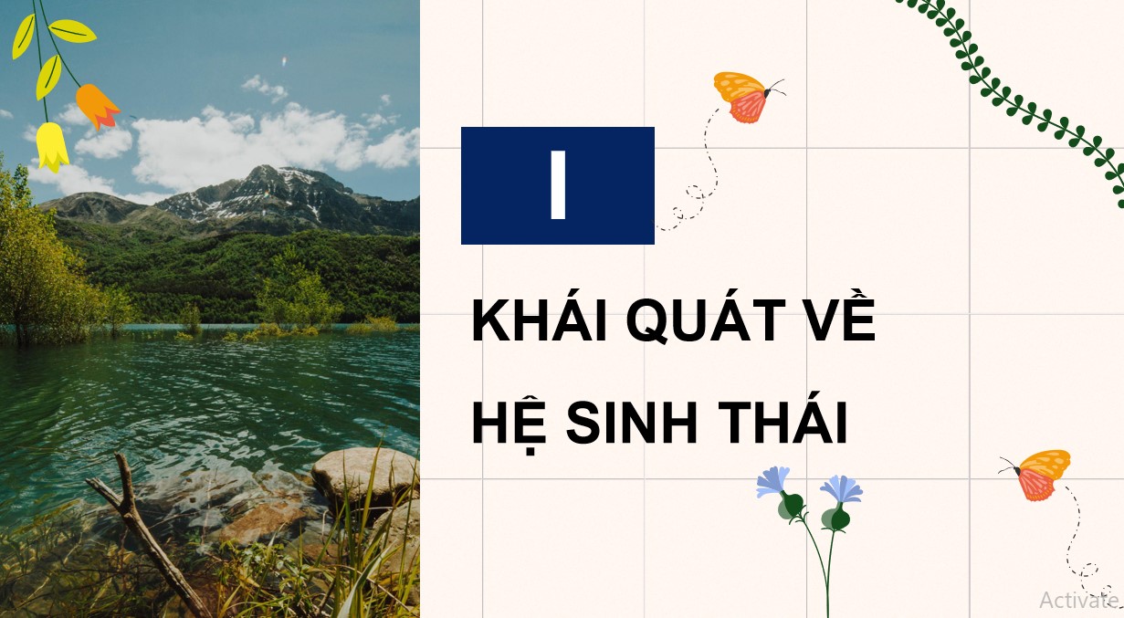 Giáo án PPT Sinh 12 Cánh Diều Bài 23