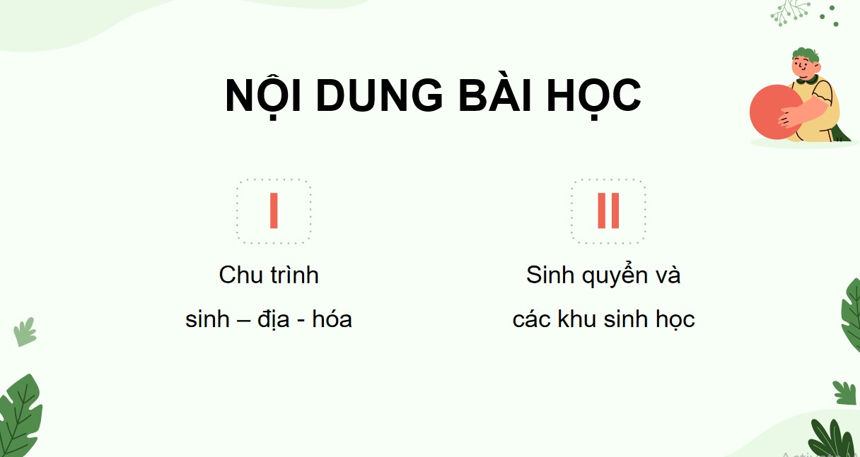 Giáo án PPT Sinh 12 Cánh Diều Bài 24