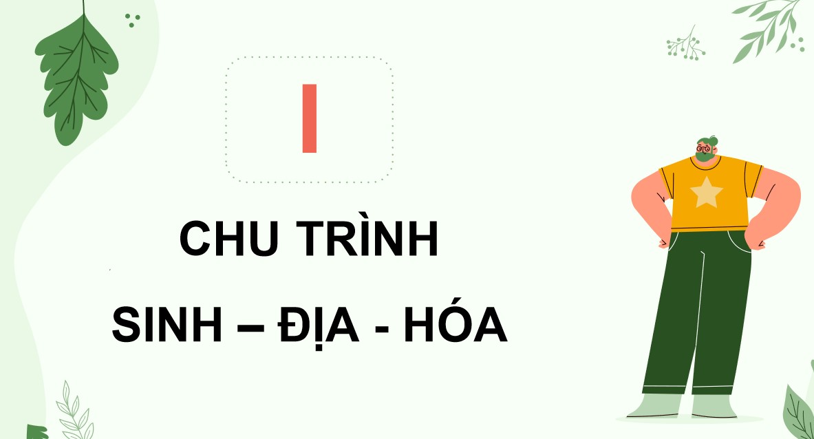 Giáo án PPT Sinh 12 Cánh Diều Bài 24