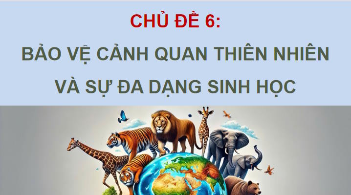 Giáo án PowerPoint Hoạt động trải nghiệm 12 Chủ đề 6