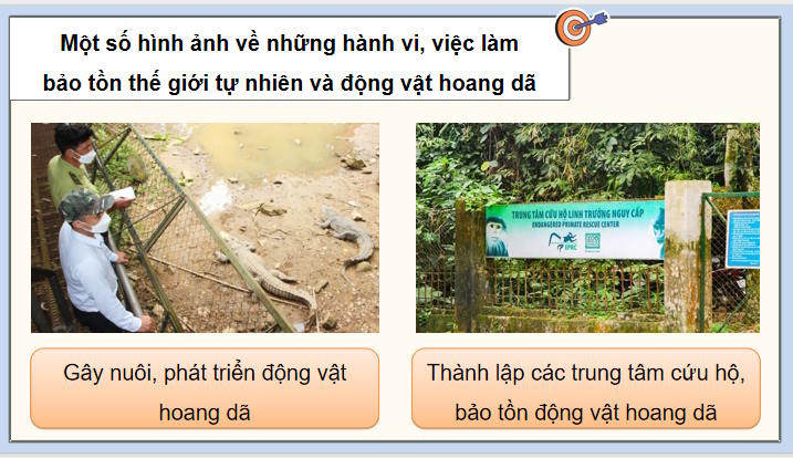 Giáo án PowerPoint Hoạt động trải nghiệm 12 Chủ đề 6