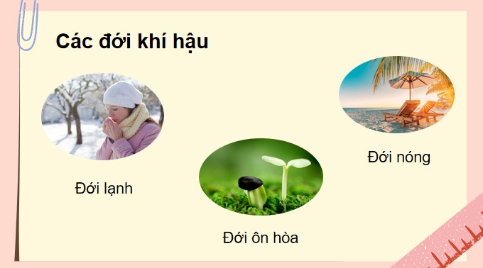 TNXH KNTT bai 30 6*875018