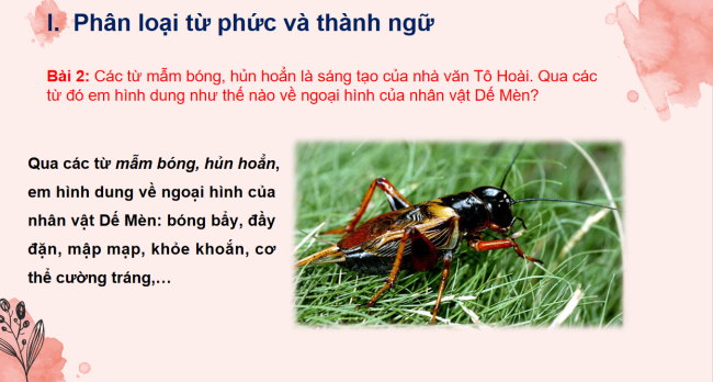 PowerPoint Ngữ văn 6 Bài 6: Thực hành tiếng Việt