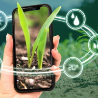 Giáo án Tự nhiên và xã hội 3 Bài 9: Hoạt động sản xuất nông nghiệp