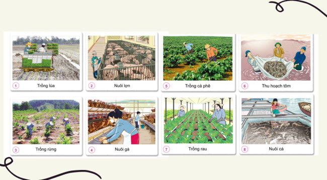 PowerPoint Tự nhiên và xã hội 3 Bài 9: Hoạt động sản xuất nông nghiệp