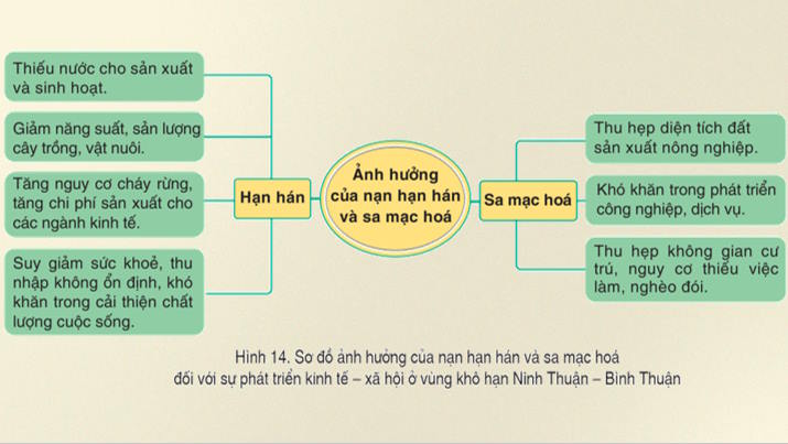 Giáo án Địa lí 9 Bài 14: Thực hành Phân tích ảnh hưởng của nạn hạn hán và sa mạc hoá ở vùng khô hạn Ninh Thuận Bình Thuận