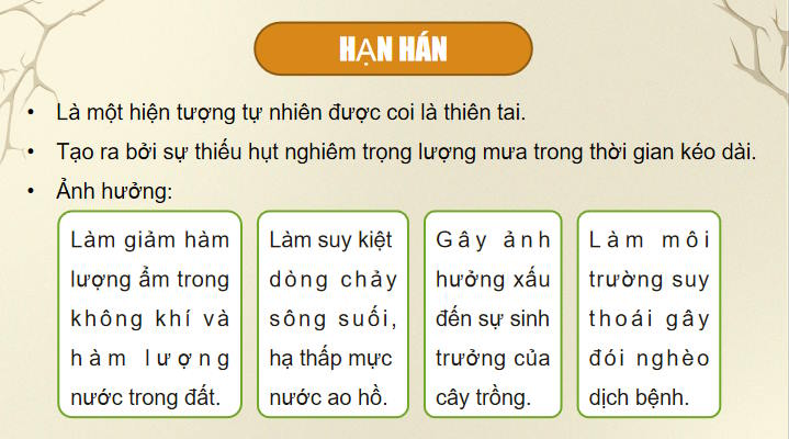 Giáo án Địa lí 9 Bài 14: Thực hành Phân tích ảnh hưởng của nạn hạn hán và sa mạc hoá ở vùng khô hạn Ninh Thuận Bình Thuận