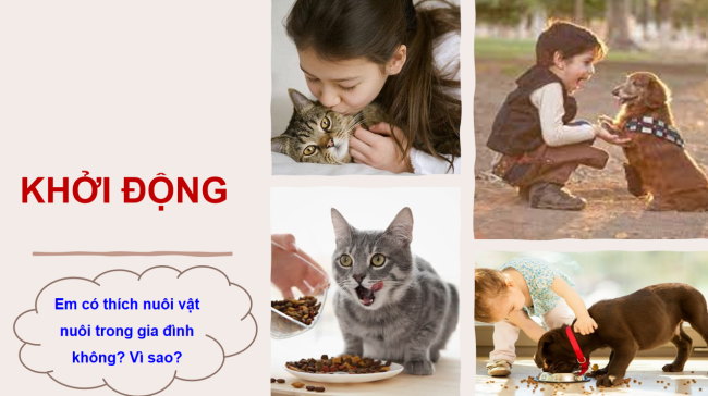 PowerPoint Ngữ văn 6 Bài 8: Trình bày ý kiến về một hiện tượng đời sống