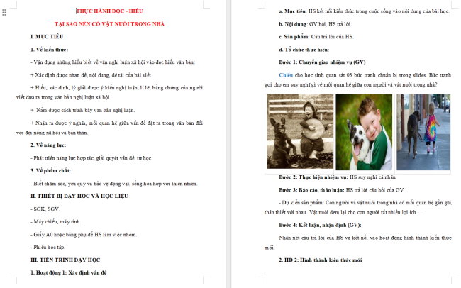 Giáo án Văn 6 Bài 8: Tại sao nên có vật nuôi trong nhà?