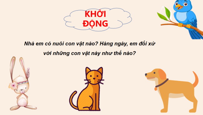 PowerPoint Ngữ văn 6 Bài 8: Vì sao chúng ta phải đối xử thân thiện với động vật?