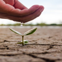 Giáo án Ngữ văn 6 Bài 8: Khan hiếm nước ngọt