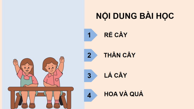 PowerPoint Tự nhiên và xã hội 3 Bài 12