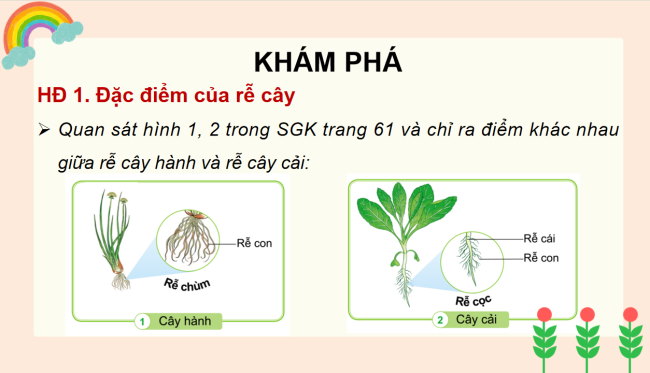 PowerPoint Tự nhiên và xã hội 3 Bài 12