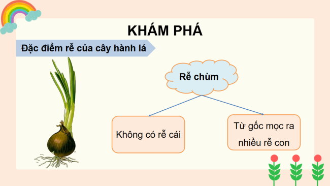 PowerPoint Tự nhiên và xã hội 3 Bài 12