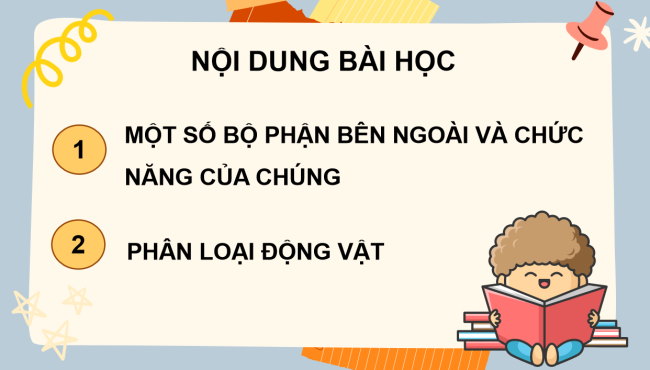 PowerPoint Tự nhiên và xã hội 3 Bài 13