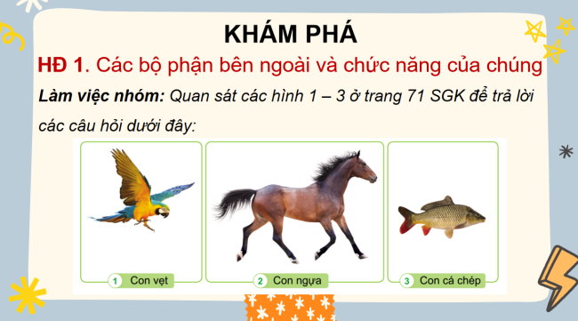 PowerPoint Tự nhiên và xã hội 3 Bài 13