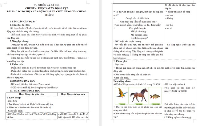 Giáo án Tự nhiên và xã hội 3 Bài 13