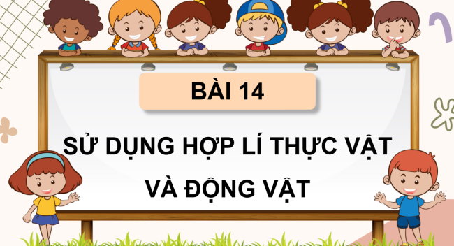 PowerPoint Tự nhiên và xã hội 3 Bài 14: Sử dụng hợp lí thực vật và động vật