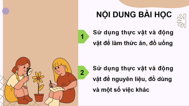 PowerPoint Tự nhiên và xã hội 3 Bài 14: Sử dụng hợp lí thực vật và động vật