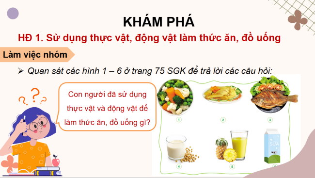 PowerPoint Tự nhiên và xã hội 3 Bài 14: Sử dụng hợp lí thực vật và động vật