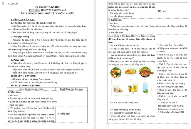 Giáo án Tự nhiên và xã hội 3 Bài 14