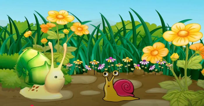 Chiếc vỏ ốc sên