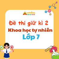Đề thi giữa học kì 2 KHTN 7 Kết nối tri thức Theo CV 7991 (Dạy song song)