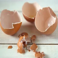 Truyện cổ tích: Món ăn vỏ trứng