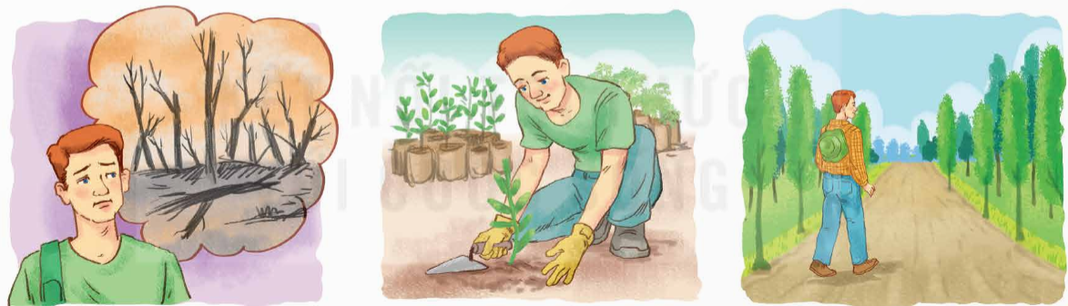 Khu rừng của Mát trang 38 lớp 5 Tập 2 Kết nối tri thức