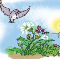 Truyện cổ tích: Chim sơn ca và bông cúc trắng